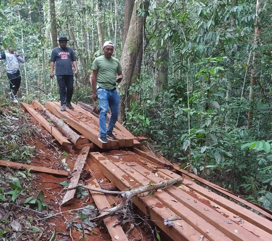 Polres Berau Ungkap Kayu Ulin Dan Bengkirai Ilegal 8 Kontainer di Pelabuhan Depo II Terminal Peti Kemas Dan Menangkap Pembalakang Liar 7 Tersangka Sebanyak 40 kubik.