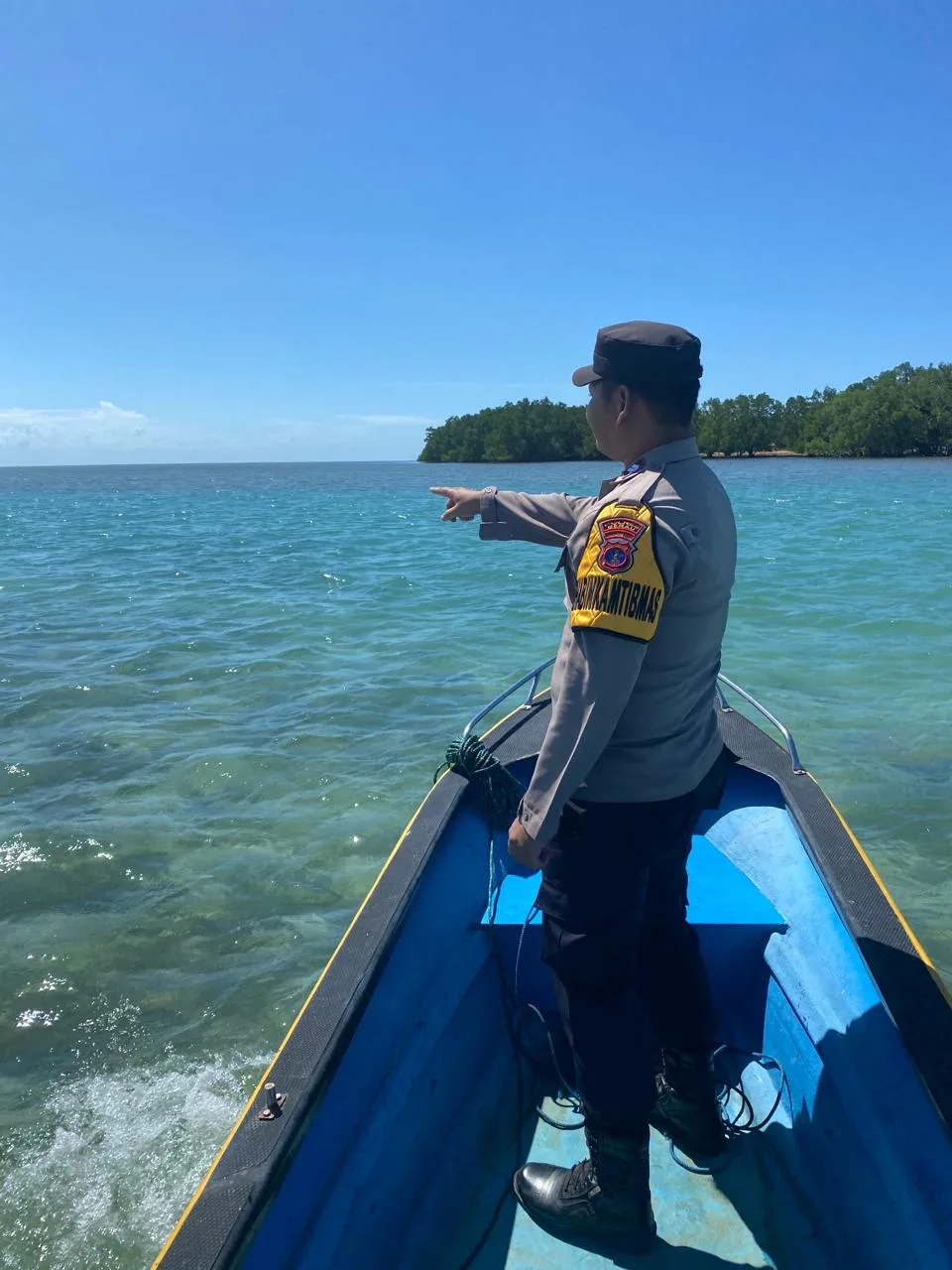 banyak penyu mati diduga dikarenakan bom ikan